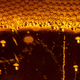 Illustration for article titled 12 Bubblicious Photos Of Bubbles